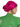 Metallic Fuchsia Turban, Fuchsia Turban, turbans, turbans for women, women's turbans, turbans for ladies, womens turbans, turbans and headbands, women turbans, fashion turbans for ladies, turbans women, head turbans for ladies, ladies turbans, classy turbans, cool turbans, cute hair turbans, cute turbans, decorative turbans, dressy turbans, ethnic turbans, evening turbans, glamorous turbans, hair turbans for ladies, ladies cotton turbans, ladies fashion turbans, lightweight turbans, pretty turbans