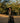 Black Horse Long Caftan Jacket, caftans for women, womens caftans, women's caftans, elegant caftans, women caftans, long caftans, luxury caftans, beautiful caftans, caftans on sale, caftans women, cute caftans, fabulous caftans, images of caftans, ladies long caftans, long caftans for women, stylish caftans, women's caftans for sale, womens long caftans