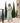Dara Mint Long Caftan Jacket, caftans, caftans for women, womens caftans, women's caftans, elegant caftans, women caftans, long caftans, luxury caftans, beautiful caftans, jacket, jackets, jackets for women, womens jackets, womens jacket, women jacket, jacket for women, women jackets, womens long jacket, fashion jackets for women, long jacket for women