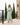 Dara Mint Long Caftan Jacket, caftans, caftans for women, womens caftans, women's caftans, elegant caftans, women caftans, long caftans, luxury caftans, beautiful caftans, jacket, jackets, jackets for women, womens jackets, womens jacket, women jacket, jacket for women, women jackets, womens long jacket, fashion jackets for women, long jacket for women