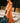 Orange Horse Jacket