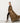 Felin Muse - Leopard jacket