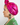 Metallic Fuchsia Turban, Fuchsia Turban, turbans, turbans for women, women's turbans, turbans for ladies, womens turbans, turbans and headbands, women turbans, fashion turbans for ladies, turbans women, head turbans for ladies, ladies turbans, classy turbans, cool turbans, cute hair turbans, cute turbans, decorative turbans, dressy turbans, ethnic turbans, evening turbans, glamorous turbans, hair turbans for ladies, ladies cotton turbans, ladies fashion turbans, lightweight turbans, pretty turbans