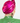 Metallic Fuchsia Turban, Fuchsia Turban, turbans, turbans for women, women's turbans, turbans for ladies, womens turbans, turbans and headbands, women turbans, fashion turbans for ladies, turbans women, head turbans for ladies, ladies turbans, classy turbans, cool turbans, cute hair turbans, cute turbans, decorative turbans, dressy turbans, ethnic turbans, evening turbans, glamorous turbans, hair turbans for ladies, ladies cotton turbans, ladies fashion turbans, lightweight turbans, pretty turbans