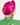 Metallic Fuchsia Turban, Fuchsia Turban, turbans, turbans for women, women's turbans, turbans for ladies, womens turbans, turbans and headbands, women turbans, fashion turbans for ladies, turbans women, head turbans for ladies, ladies turbans, classy turbans, cool turbans, cute hair turbans, cute turbans, decorative turbans, dressy turbans, ethnic turbans, evening turbans, glamorous turbans, hair turbans for ladies, ladies cotton turbans, ladies fashion turbans, lightweight turbans, pretty turbans
